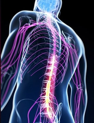 Konkolyos Kriszta kineziológus Győr kranioszakrális biodinamika